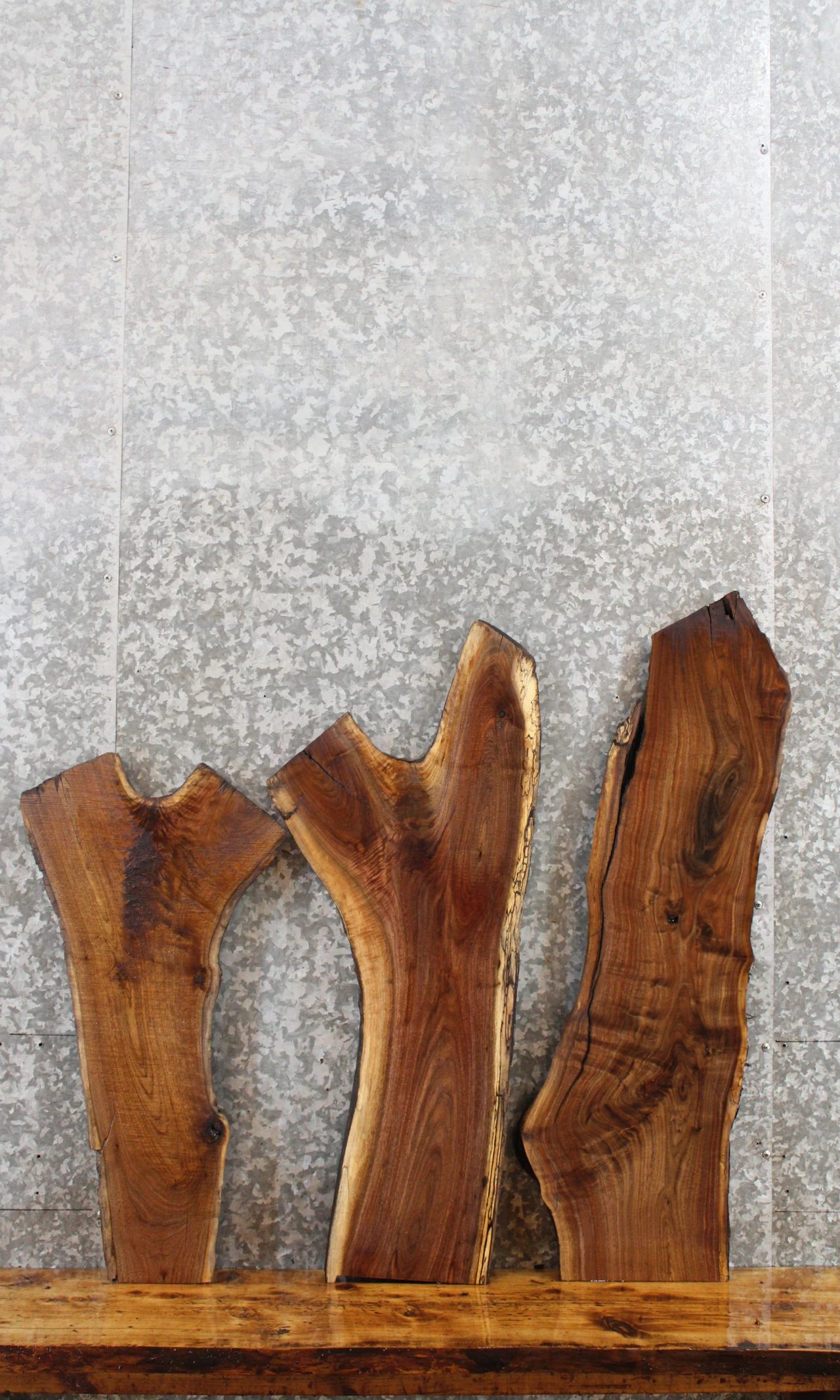 3- Live Edge Black Walnut Charcuterie/Taxidermy Slabs 1181-1183