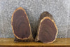 Thumbnail for 2- Black Walnut Rustic Oval Cut Live Edge Centerpieces/Craft Pack 12060-12061