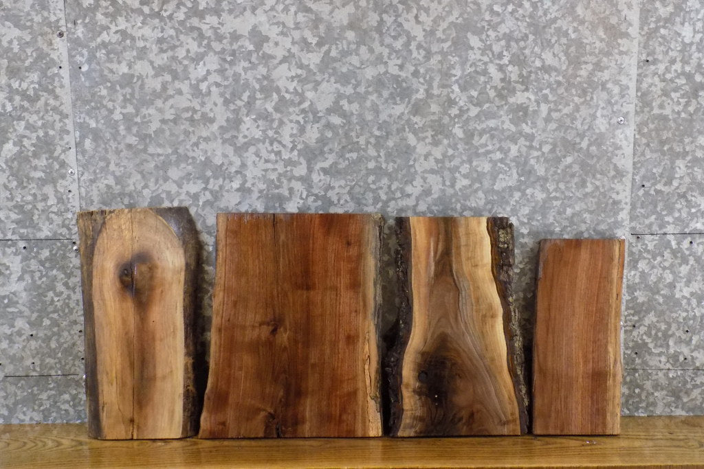 4- DIY Black Walnut Live Edge Taxidermy Bases/Craft Pack Slabs 12067-12070