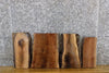 Thumbnail for 4- DIY Black Walnut Live Edge Taxidermy Bases/Craft Pack Slabs 12067-12070