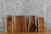 Thumbnail for 4- DIY Black Walnut Live Edge Taxidermy Bases/Craft Pack Slabs 12067-12070