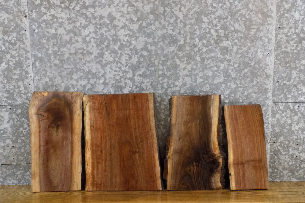 4- DIY Black Walnut Live Edge Taxidermy Bases/Craft Pack Slabs 12067-12070