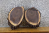 Thumbnail for 2- Reclaimed Black Walnut Live Edge Round Cut Taxidermy Bases 12174-12175