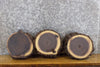 Thumbnail for 3- Black Walnut Round Cut Live Edge Bark Centerpiece Wood Slabs 12213-12215