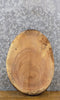 Thumbnail for Natural Edge Oval Cut Ash Rustic DIY Charcuterie Board/Slab 12317