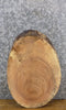 Thumbnail for Oval Cut Live Edge Ash Rustic DIY Charcuterie Board/Slab 12325