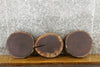 Thumbnail for 3- Black Walnut Live Edge Round Cut Reclaimed  CLOSEOUT 12409-12411