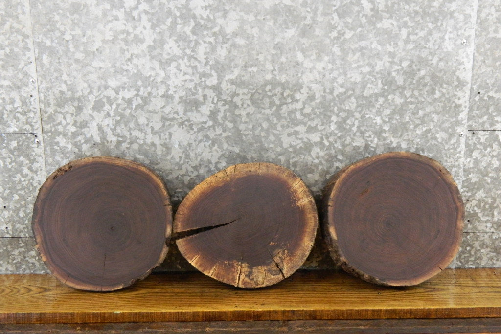 3- Black Walnut Live Edge Round Cut Reclaimed  CLOSEOUT 12409-12411