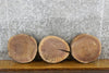 Thumbnail for 3- Black Walnut Live Edge Round Cut Reclaimed  CLOSEOUT 12409-12411