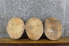 Thumbnail for 3- Rustic Round Cut Live Edge Spalted Maple Craft Pack Slabs 12527-12529