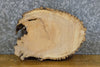 Thumbnail for Oval Cut Live Edge Bark Ash Salvaged Centerpiece Wood Slab 12541