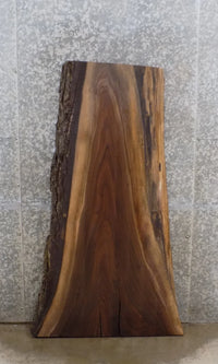 Thumbnail for Live Edge Black Walnut Coffee/Accent Table Top Slab CLOSEOUT 1254