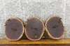 Thumbnail for 3- Live Edge Round Cut Black Walnut Clock Wood Slabs 12570-12572