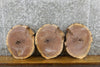 Thumbnail for 3- Live Edge Round Cut Black Walnut Clock Wood Slabs 12570-12572