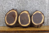 Thumbnail for 3- Black Walnut Round Cut Live Edge Bark Centerpiece Slabs 12747-12749