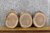 Thumbnail for 3- Black Walnut Round Cut Live Edge Bark Centerpiece Slabs 12747-12749