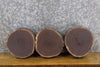 Thumbnail for 3- Round Cut Live Edge Black Walnut Salvaged Craft Pack Slabs 12763-12765