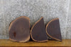 Thumbnail for 3- Partial Live Edge Black Walnut Oval Cut Craft Pack Wood Slabs 12784-12786