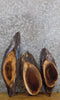 Thumbnail for 3- Rustic Live Edge Oval Cut Black Walnut Craft Pack Wood Slabs 12787-12789