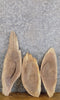 Thumbnail for 3- Rustic Live Edge Oval Cut Black Walnut Craft Pack Wood Slabs 12787-12789