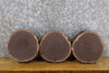 Thumbnail for 3- Black Walnut Rustic Round Cut Live Edge Centerpiece Slabs 12800-12802