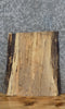 Thumbnail for Live Edge Spalted Maple Taxidermy Mount/End Table Top Slab 12903