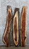 Thumbnail for 3- Black Walnut Live Edge Side Table Tops/Wall Shelves 1293-1295