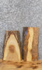 Thumbnail for 2- Reclaimed Live Edge Maple Wall Shelf/Taxidermy Mount Slabs 13020-13021