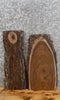 Thumbnail for 2- Salvaged Live Edge Black Walnut Taxidermy Mount/Clock Slabs 13042-13043