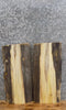 Thumbnail for 2- Live Edge Maple Taxidermy Mount/Accent Table Top Slab 13046-13047