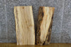 Thumbnail for 2- Bookmatched Live Edge Hackberry Reclaimed End Table Top Slabs 13075-13076