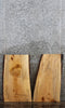 Thumbnail for 2- Live Edge Maple Taxidermy Mounts/ Wall Shelves 13077-13078