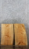 Thumbnail for 2- Live Edge Maple Taxidermy Mounts/ Wall Shelves 13077-13078