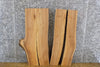 Thumbnail for 3- Bookmatched Live Edge Elm Split Board/End Table Top Slabs 13085-13086