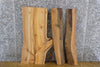 Thumbnail for 3- Bookmatched Live Edge Elm Split Board/End Table Top Slabs 13085-13086