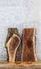 Thumbnail for 2- Live Edge Black Walnut End Table Top Slabs 13118-13119