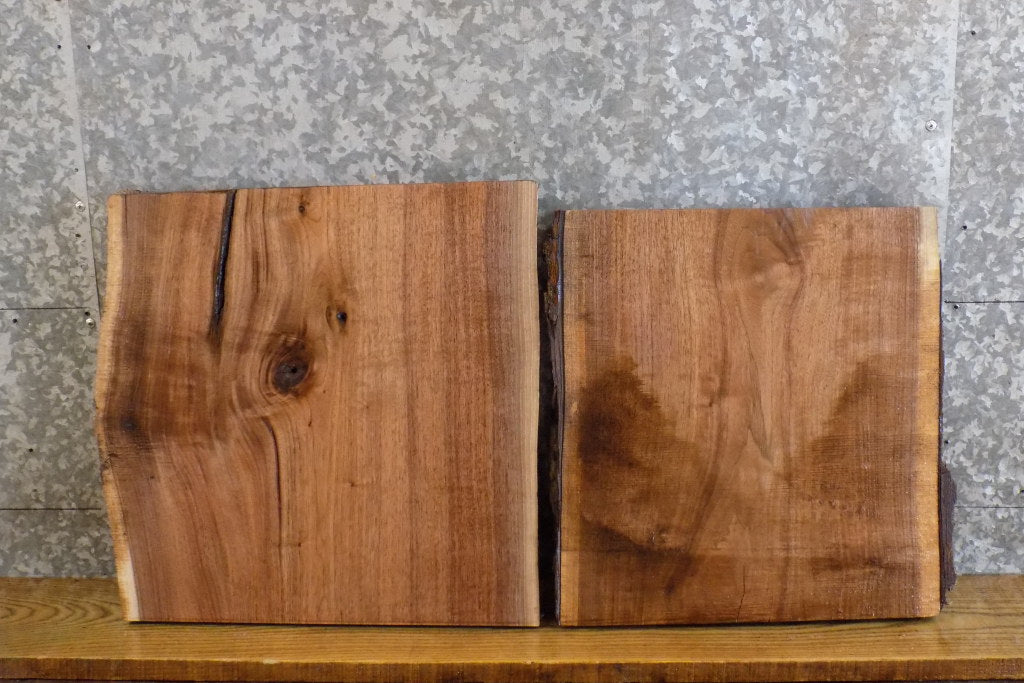 2- Rustic Live Edge Black Walnut Craft Pack/Cutting Board Slabs 13130-13131