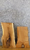 Thumbnail for 2- White Oak Rustic Live Edge Taxidermy Bases/Craft Pack Slabs 13151-13152