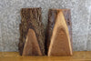 Thumbnail for 2- Black Walnut Live Edge DIY Charcuterie Boards/Craft Pack Slabs 13153-13154