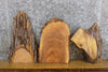 Thumbnail for 3- Natural Edge Ash Taxidermy Bases/Craft Pack Wood Slabs 13161-13163