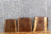 Thumbnail for 3- Live Edge Black Walnut Charcuterie/Cheese Board Slabs 13211-13213