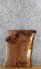 Thumbnail for Rustic Live Edge Black Walnut Side/End Table Top Slab 13293