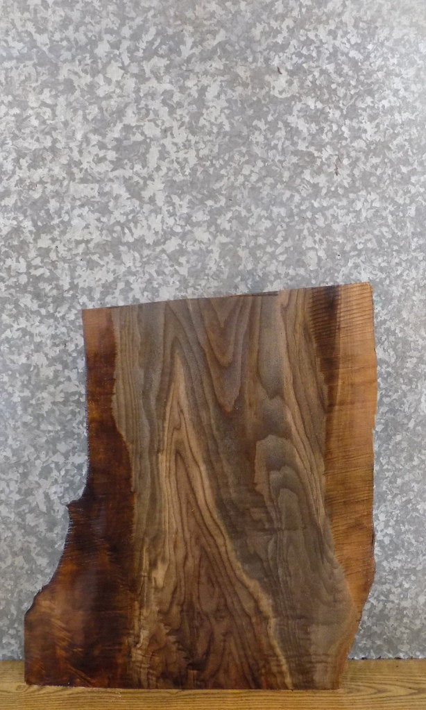 Live Edge Reclaimed Black Walnut Side/End Table Top Slab 13296