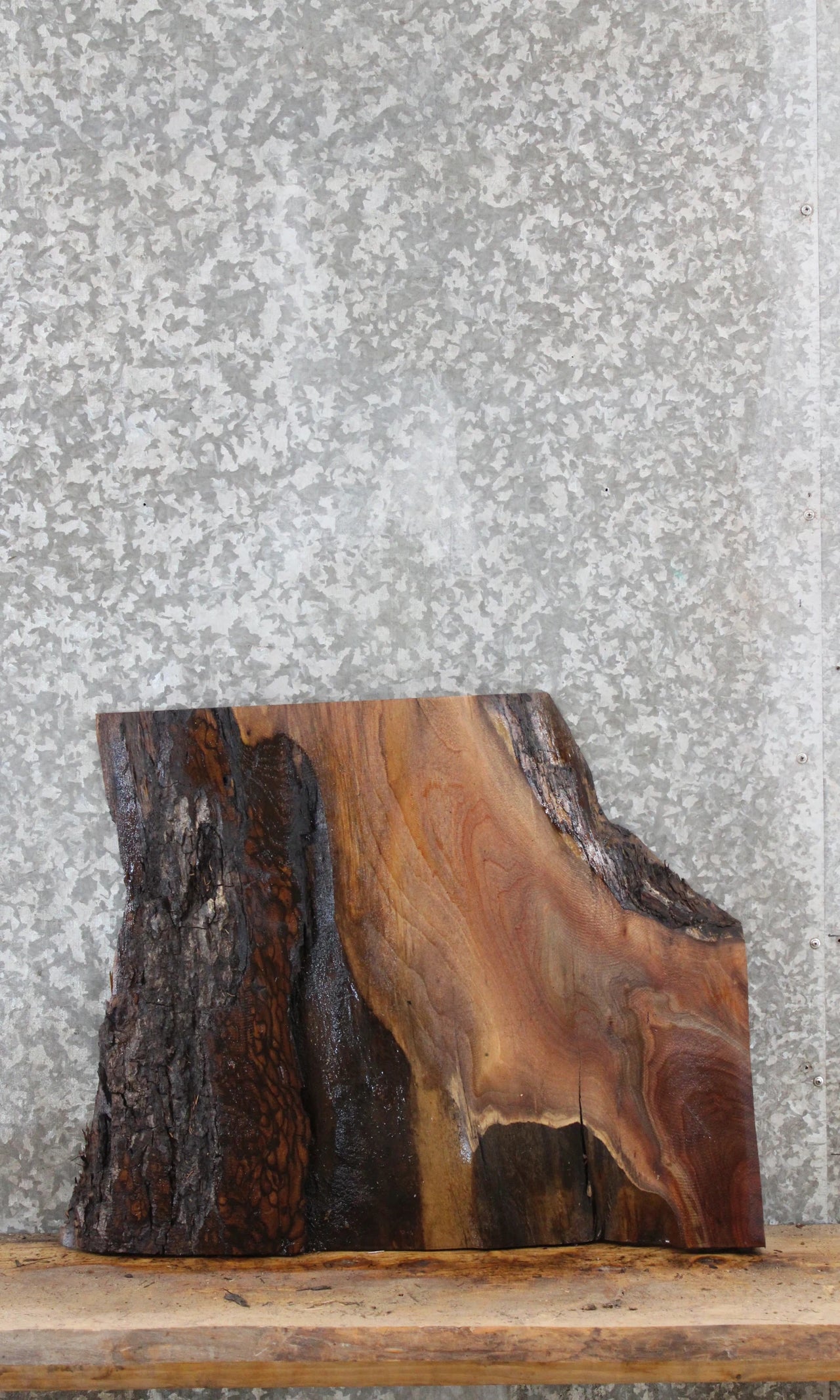 Live Edge Black Walnut End Table Top 13298