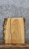 Thumbnail for Live Edge Ash End Table Slab/ Natural Edge Lumber Board 13301