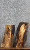 Thumbnail for 2- Live Edge Locust Taxidermy Mounts/Wall Shelves 13304,13307