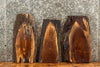 Thumbnail for 3- Live Edge Black Walnut End Table Top 13313,13331,13356