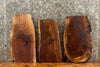 Thumbnail for 3- Live Edge Black Walnut End Table Top 13313,13331,13356