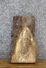 Thumbnail for Kiln Dried Rustic Hackberry End Table Top/Charcuterie Board 13337