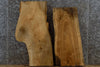 Thumbnail for 2- Kiln Dried Ash Live Edge Craft Pack Wood Slabs 13352-13353